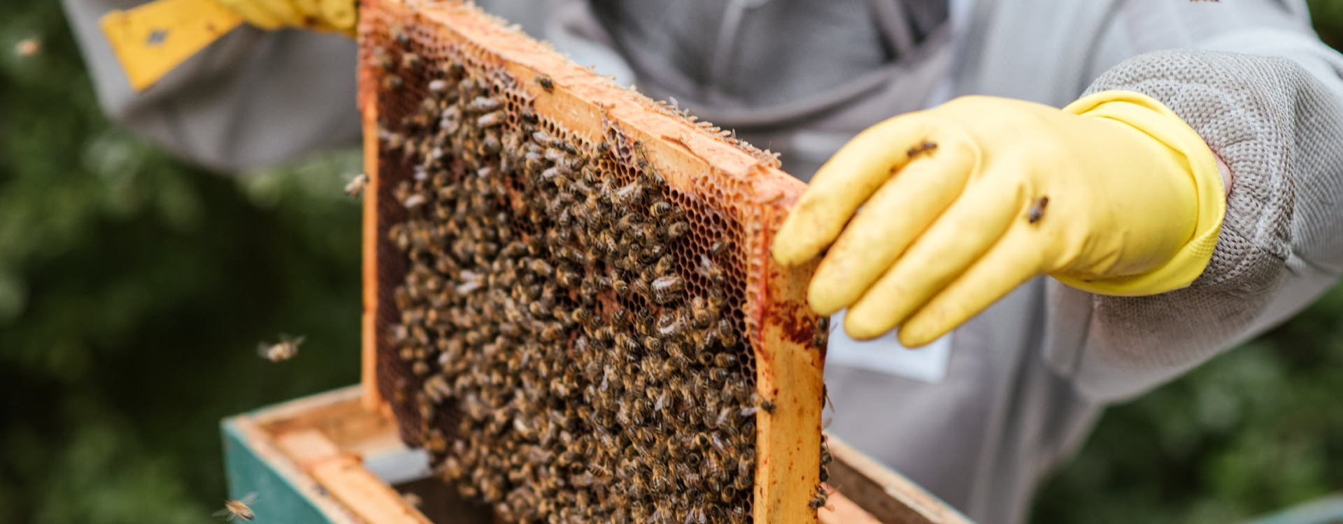 1626079694318220.jpg 2.jpg